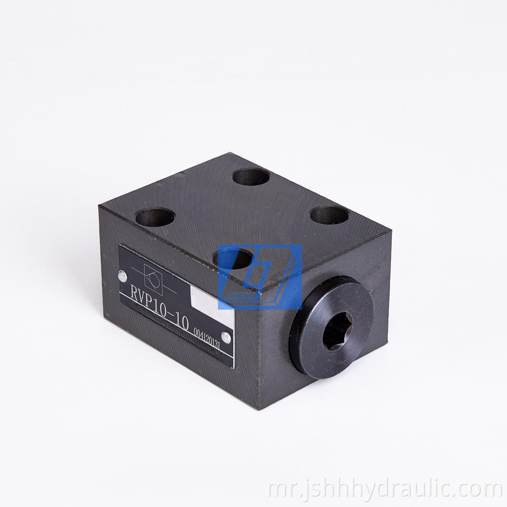 RVP 10 Series Check Valve